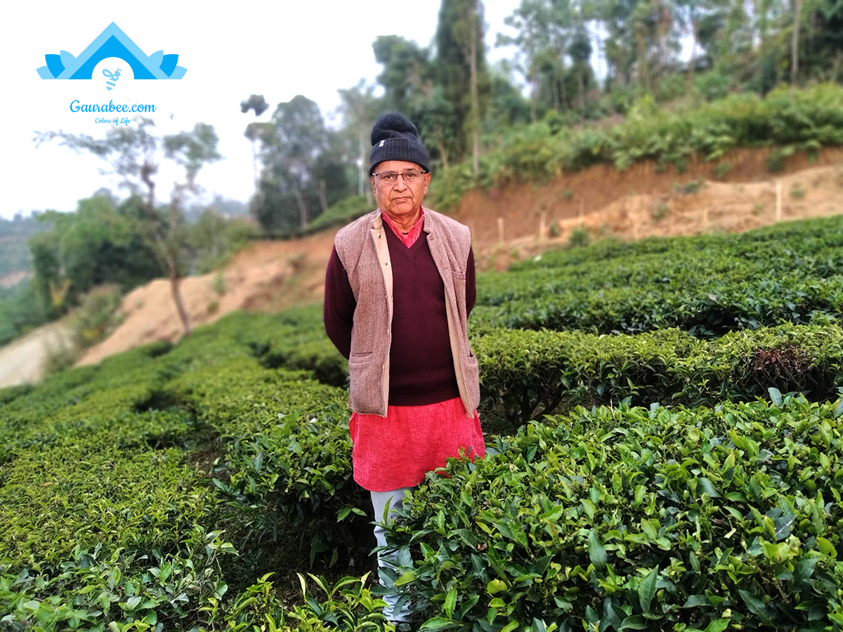 चिया बारीमा तारानाथ शर्मा