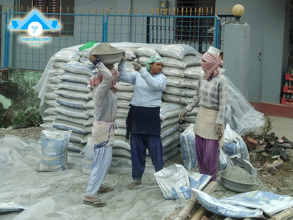 सिमेन्ट विभाग