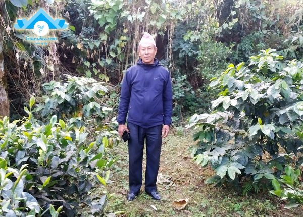 Chandra Rai, Coffee Farmer and Former Principal of Sagma School Morang