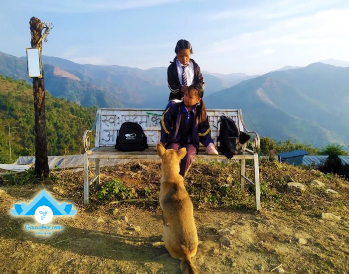 Kids preparing to go school while their dog watches them.